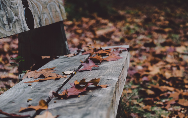 Друге бабине літо: синоптик здивував прогнозом на листопад